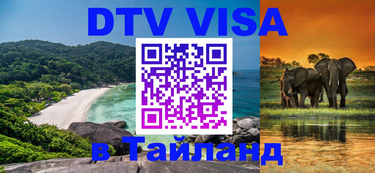 Оформление DTV визы под ключ: стоимость и тарифы, только загранпаспорт - 